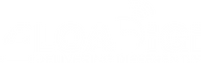 LoaDigi logo White